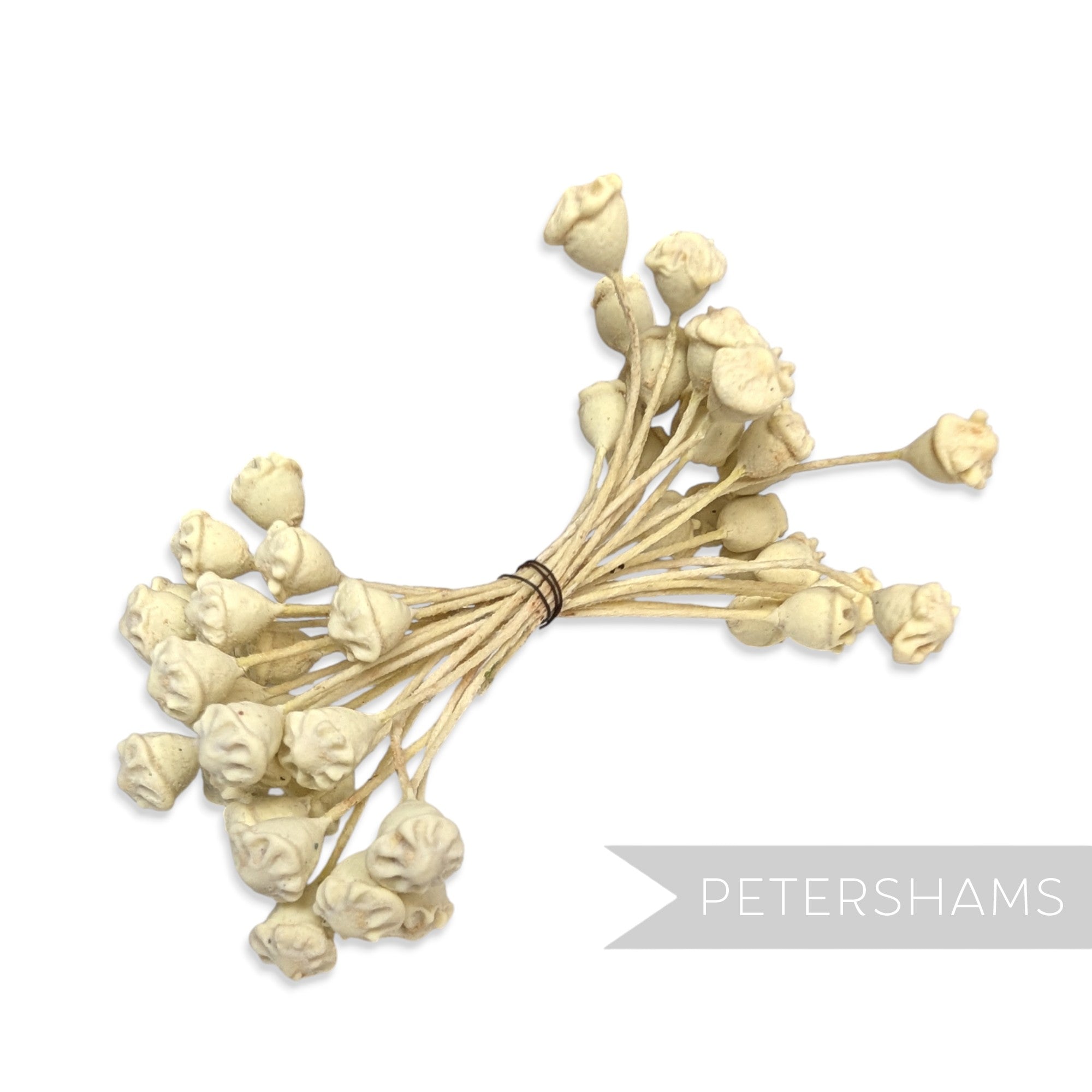 Vintage 1950s Ceramic Double Sided Cream Poppy Stamens - 24 Stems