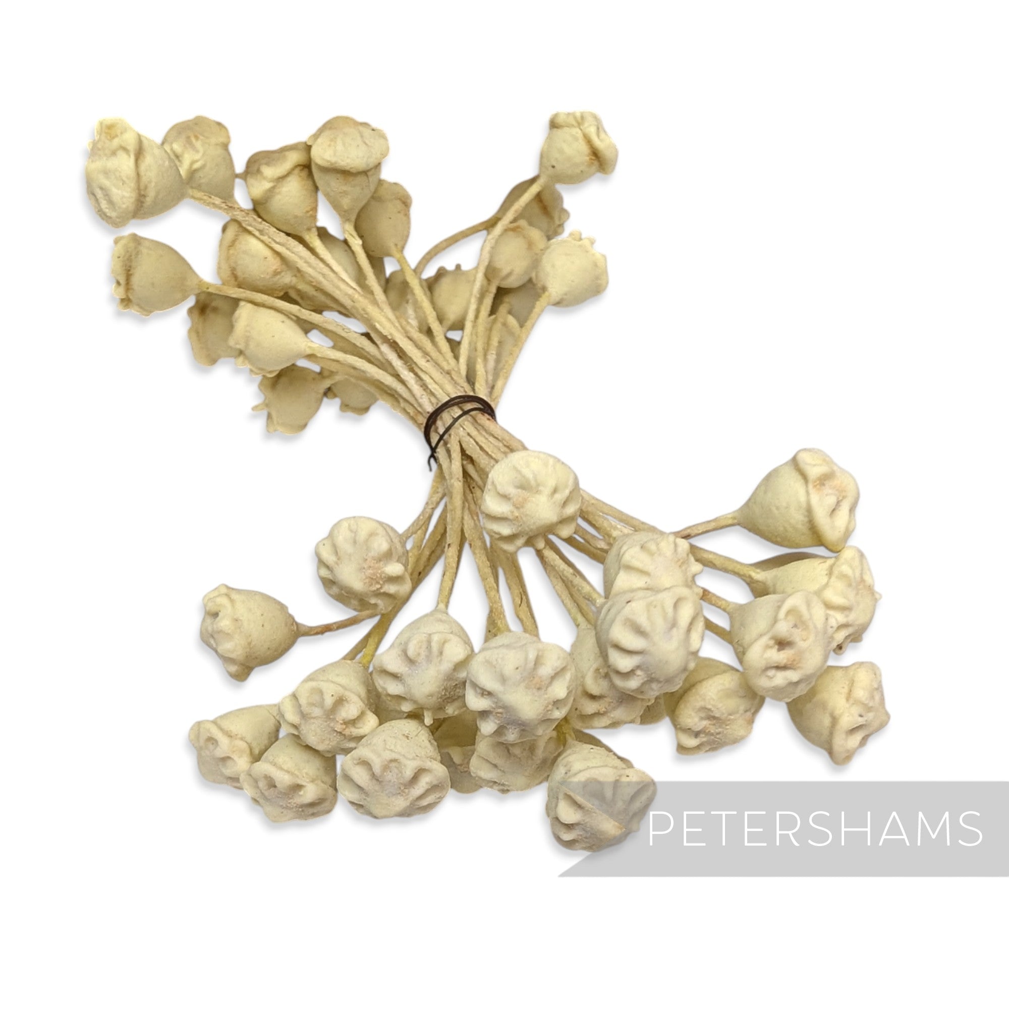 Vintage 1950s Ceramic Double Sided Cream Poppy Stamens - 24 Stems