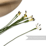 Vintage 1960/70s Long Stemmed Fine Flower Stamens - 12 Stems