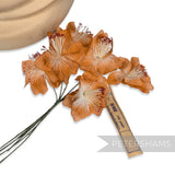 'Ruth' Vintage German Silk 6 Flower Blossom Bunch