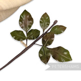 'Happa' Vintage 1960/70s Japanese Wired Rose Leaf Branch
