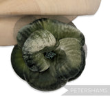 'Kyeta' Vintage Czech Silk Velvet and Organza 8cm Gradient Dyed Flower Mount