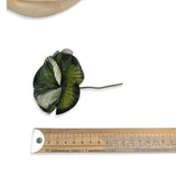 'Kyeta' Vintage Czech Silk Velvet and Organza 8cm Gradient Dyed Flower Mount