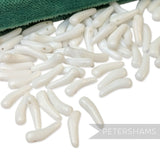 Vintage 1960/70's 14x4mm Glass Claw Beads - Approx. 144 Pieces