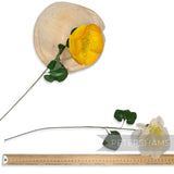 'Teich' Vintage 1960/70s Silk Pond Lily Flower