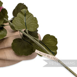 'Hortensia' Vintage Japanese 1960/70s Silk Hydrangea Flower