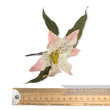 'Feebee' Vintage 1980/90s Silk 10cm Lily Flower Millinery Hat Mount