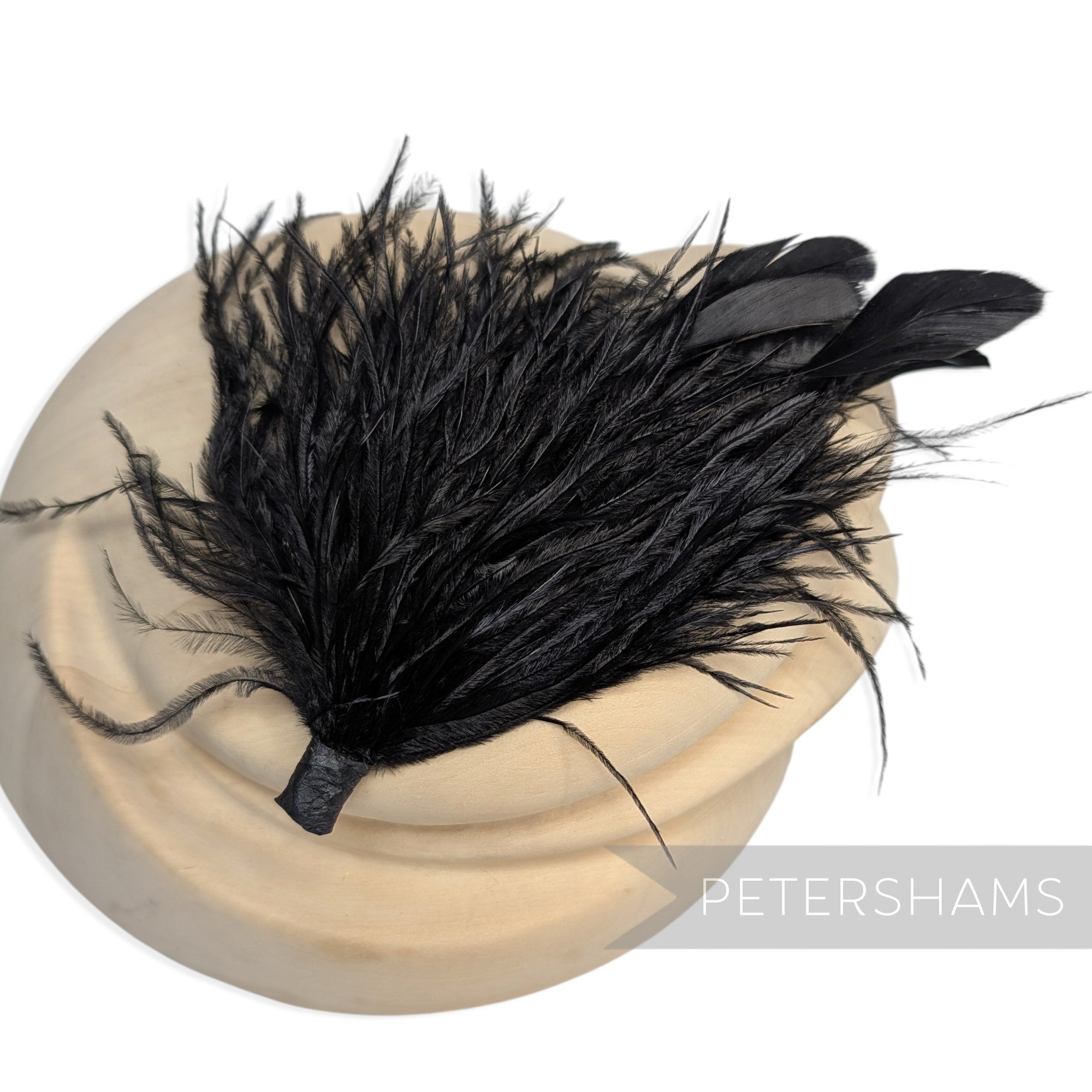 Ostrich & Stripped Coque Feather Mount