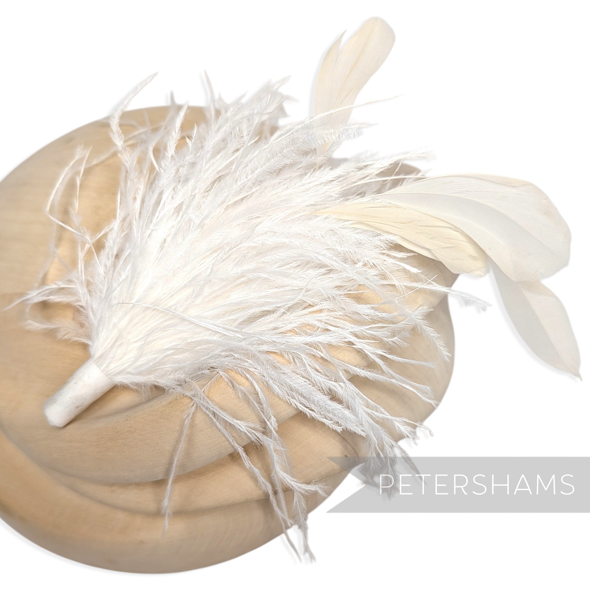 Ostrich & Stripped Coque Feather Mount