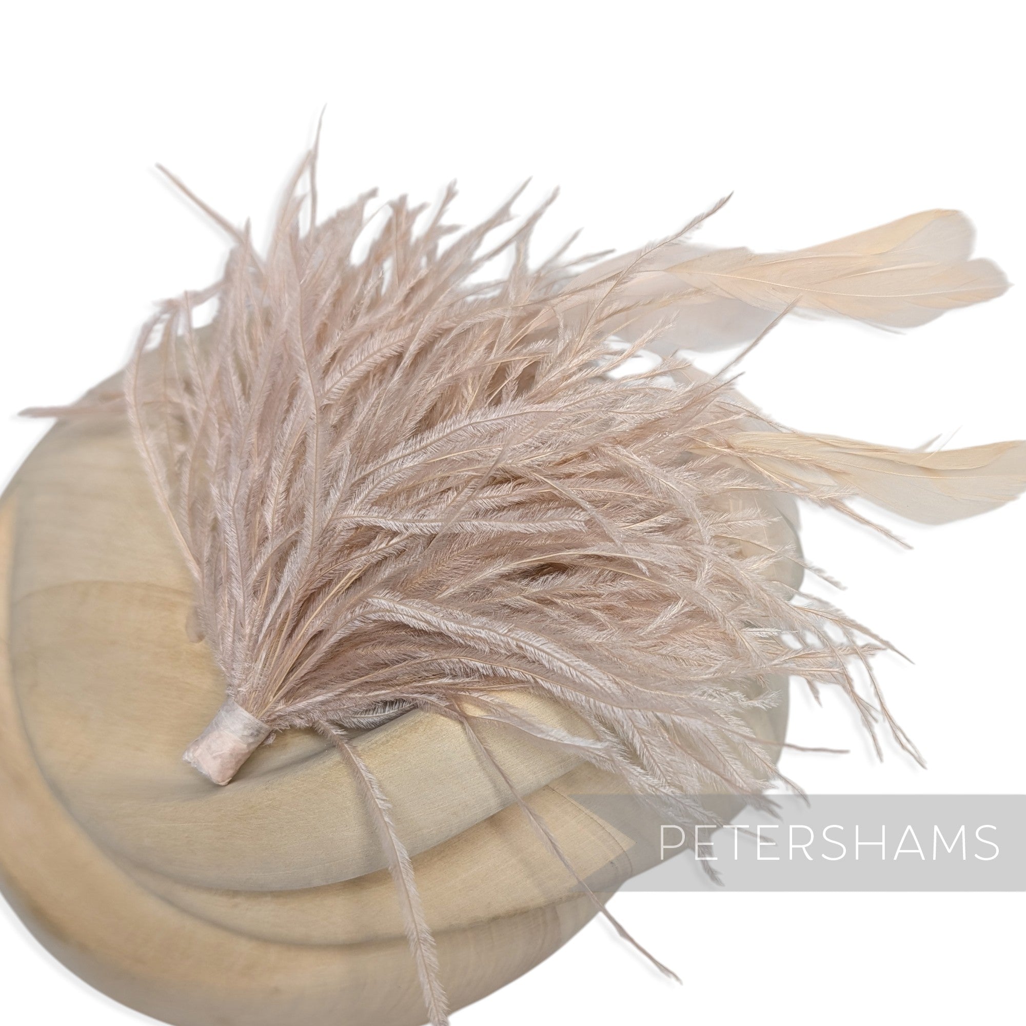 Ostrich & Stripped Coque Feather Mount