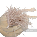 Ostrich & Stripped Coque Feather Mount