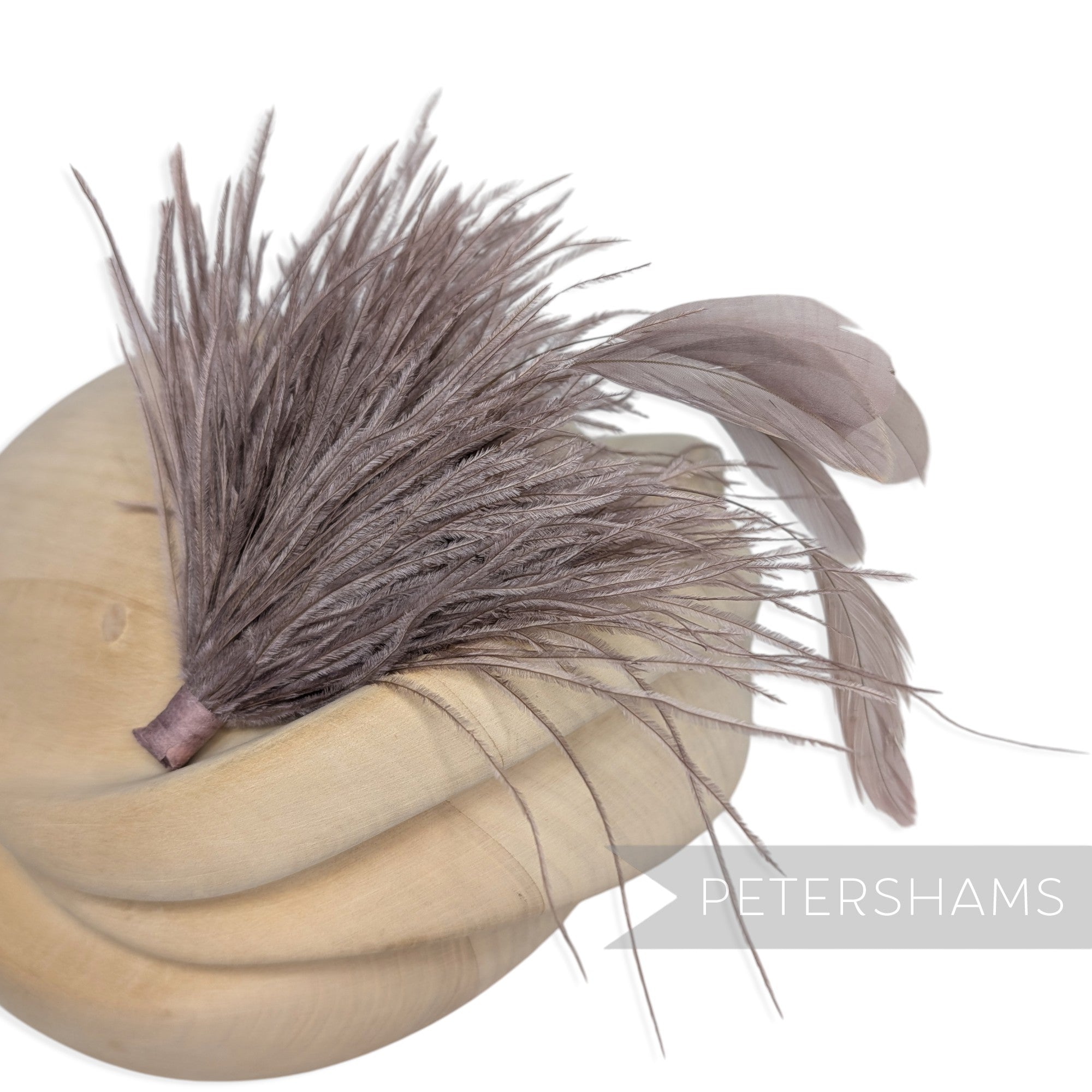 Ostrich & Stripped Coque Feather Mount