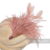 Ostrich & Stripped Coque Feather Mount