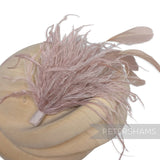 Ostrich & Stripped Coque Feather Mount