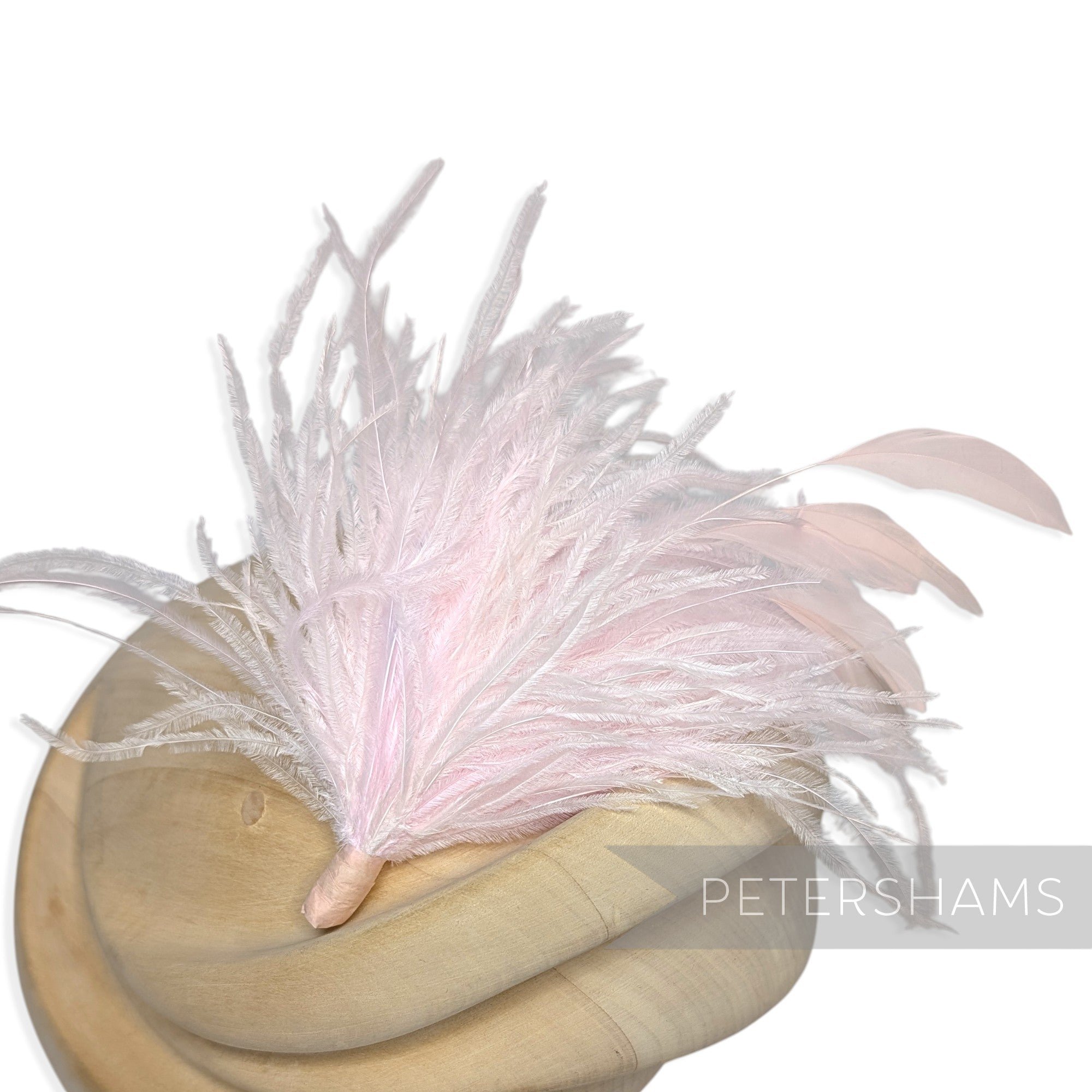 Ostrich & Stripped Coque Feather Mount
