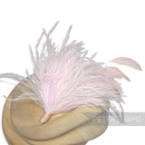 Ostrich & Stripped Coque Feather Mount