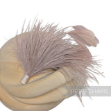 Ostrich & Stripped Coque Feather Mount