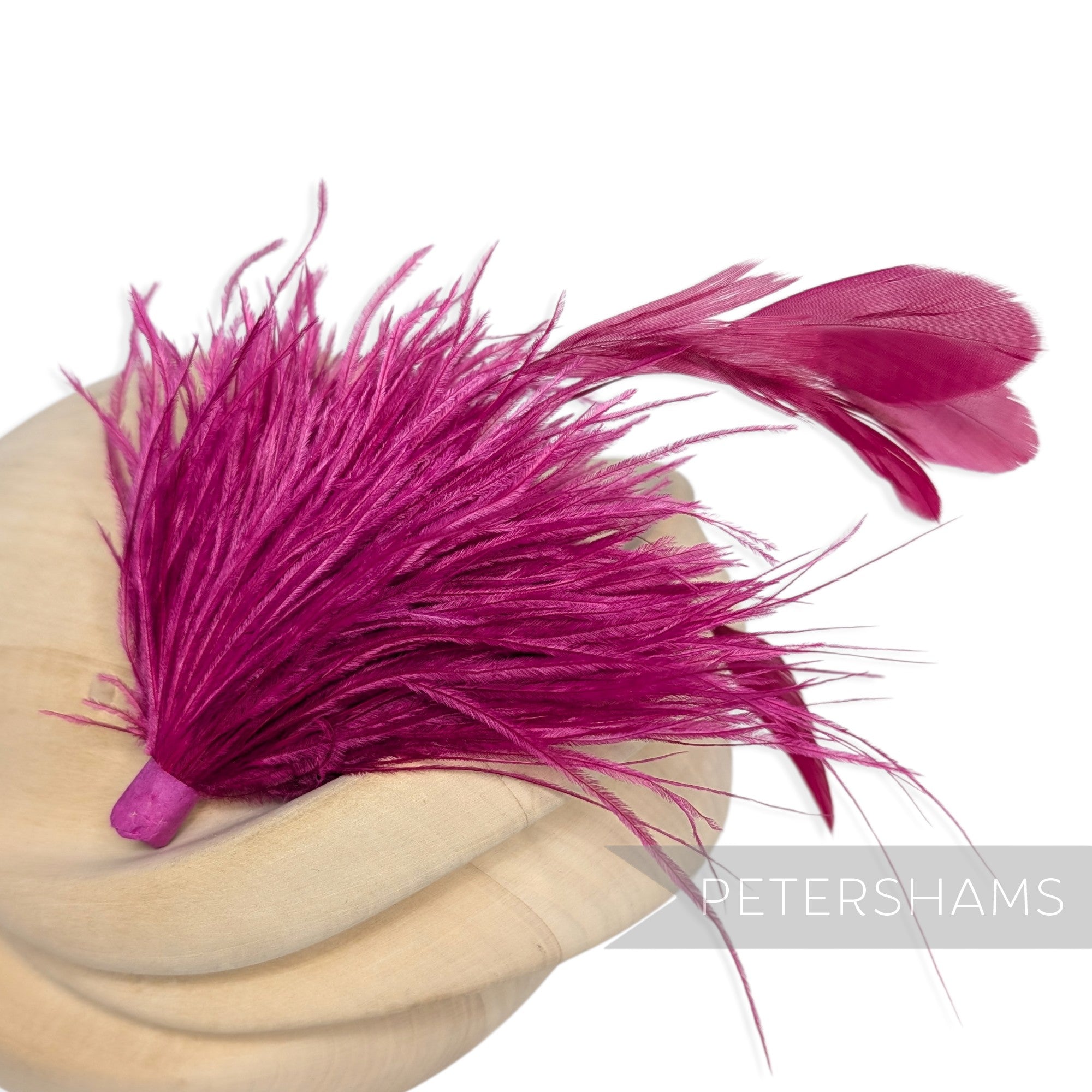 Ostrich & Stripped Coque Feather Mount