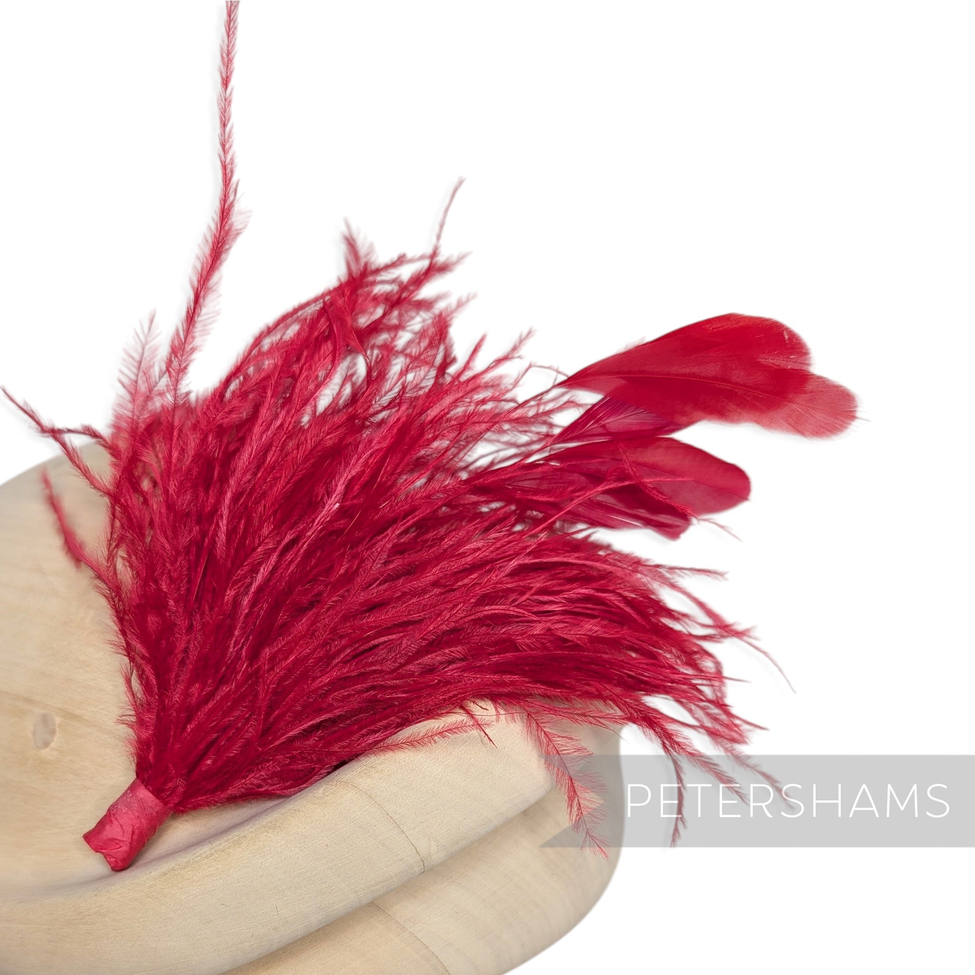 Ostrich & Stripped Coque Feather Mount