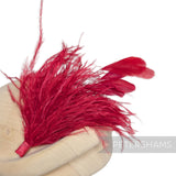 Ostrich & Stripped Coque Feather Mount