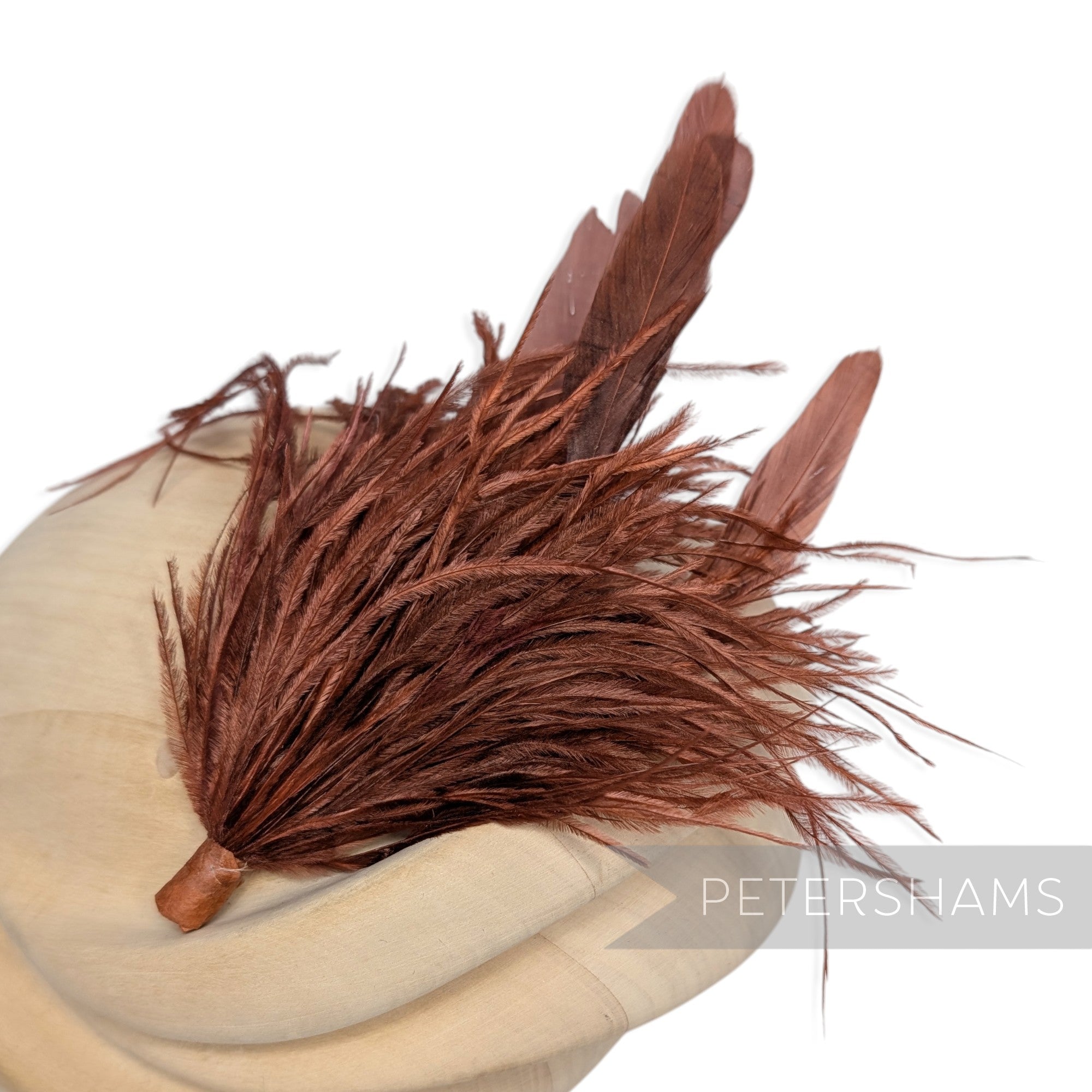 Ostrich & Stripped Coque Feather Mount