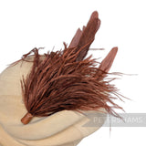 Ostrich & Stripped Coque Feather Mount