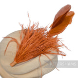 Ostrich & Stripped Coque Feather Mount
