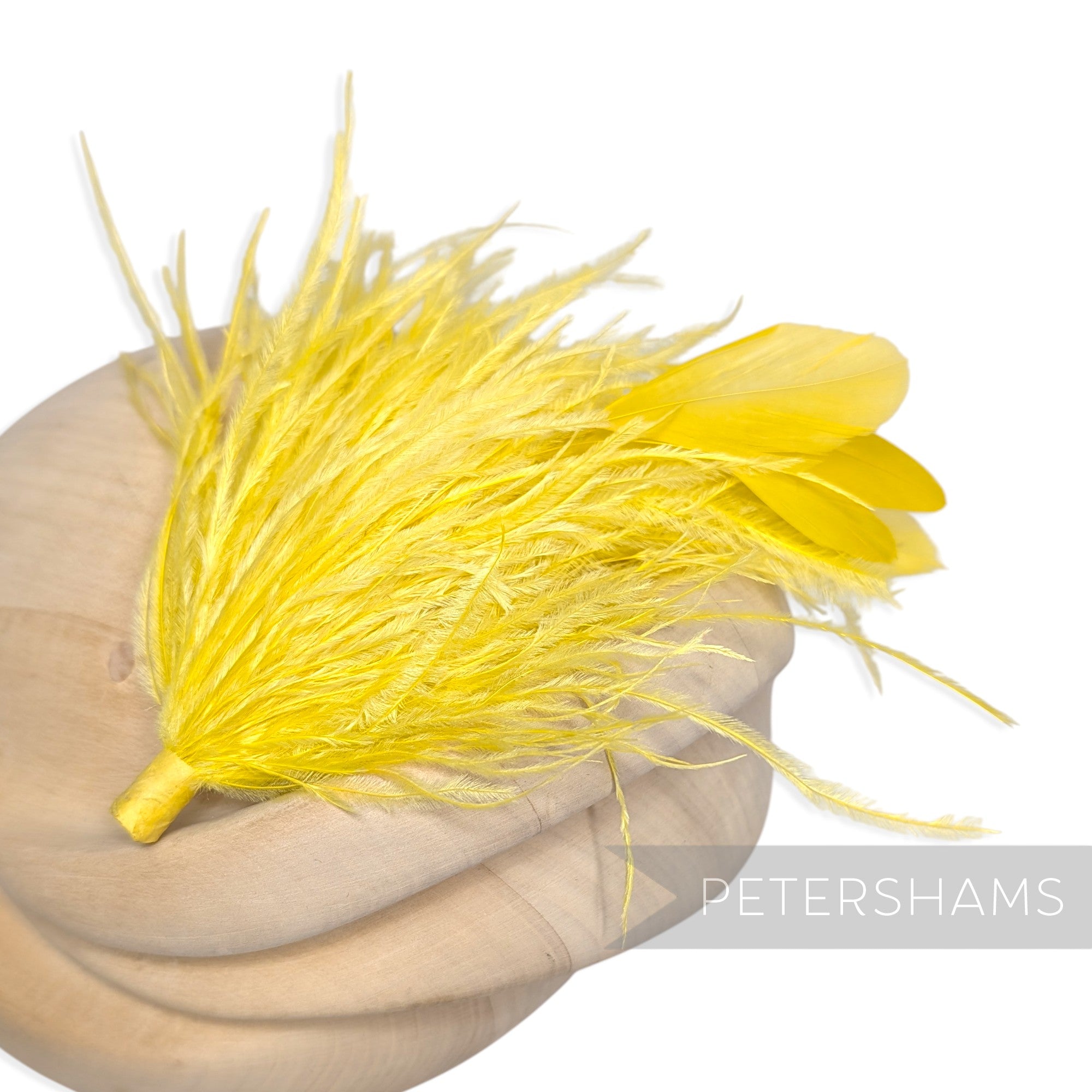 Ostrich & Stripped Coque Feather Mount