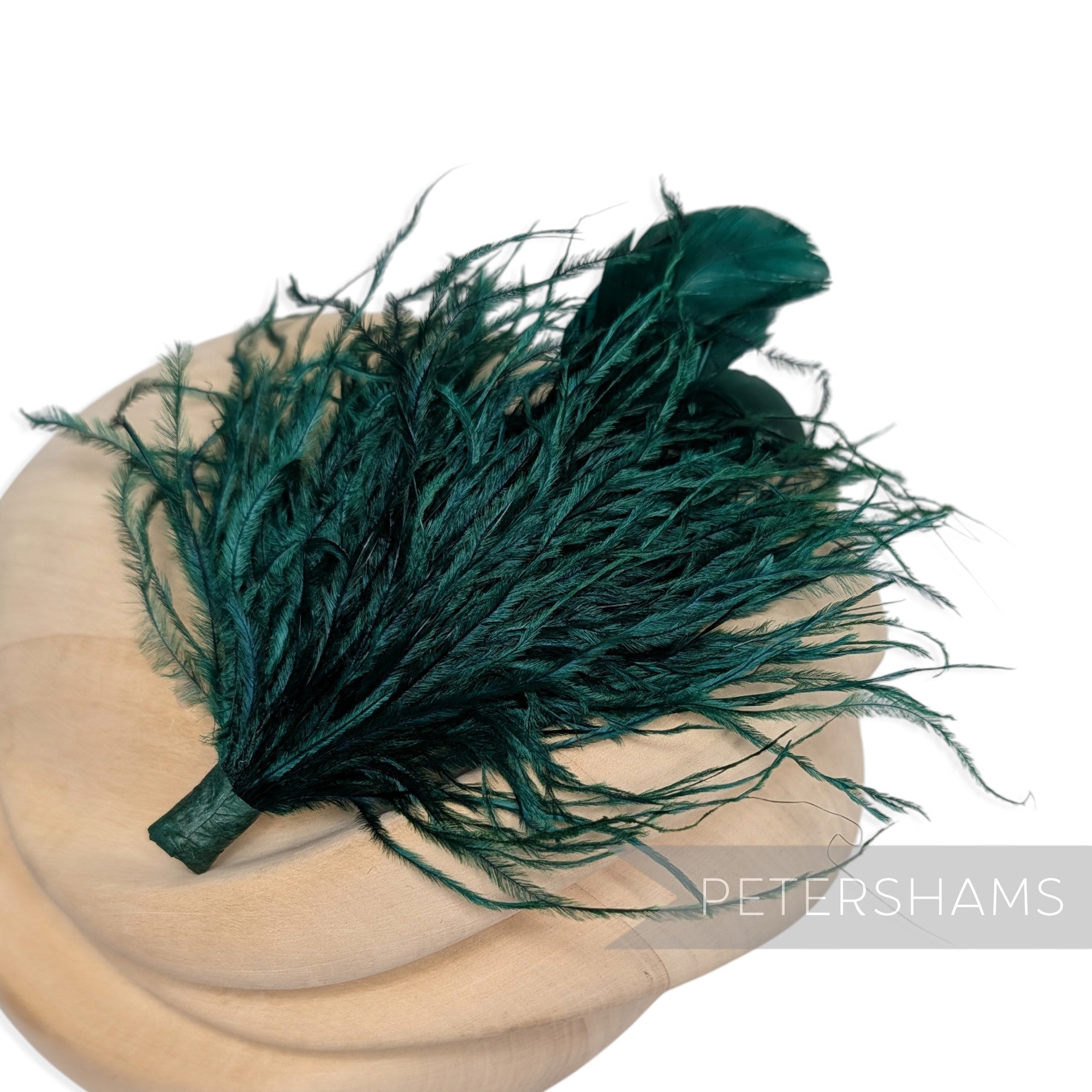 Ostrich & Stripped Coque Feather Mount