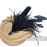 Ostrich & Stripped Coque Feather Mount