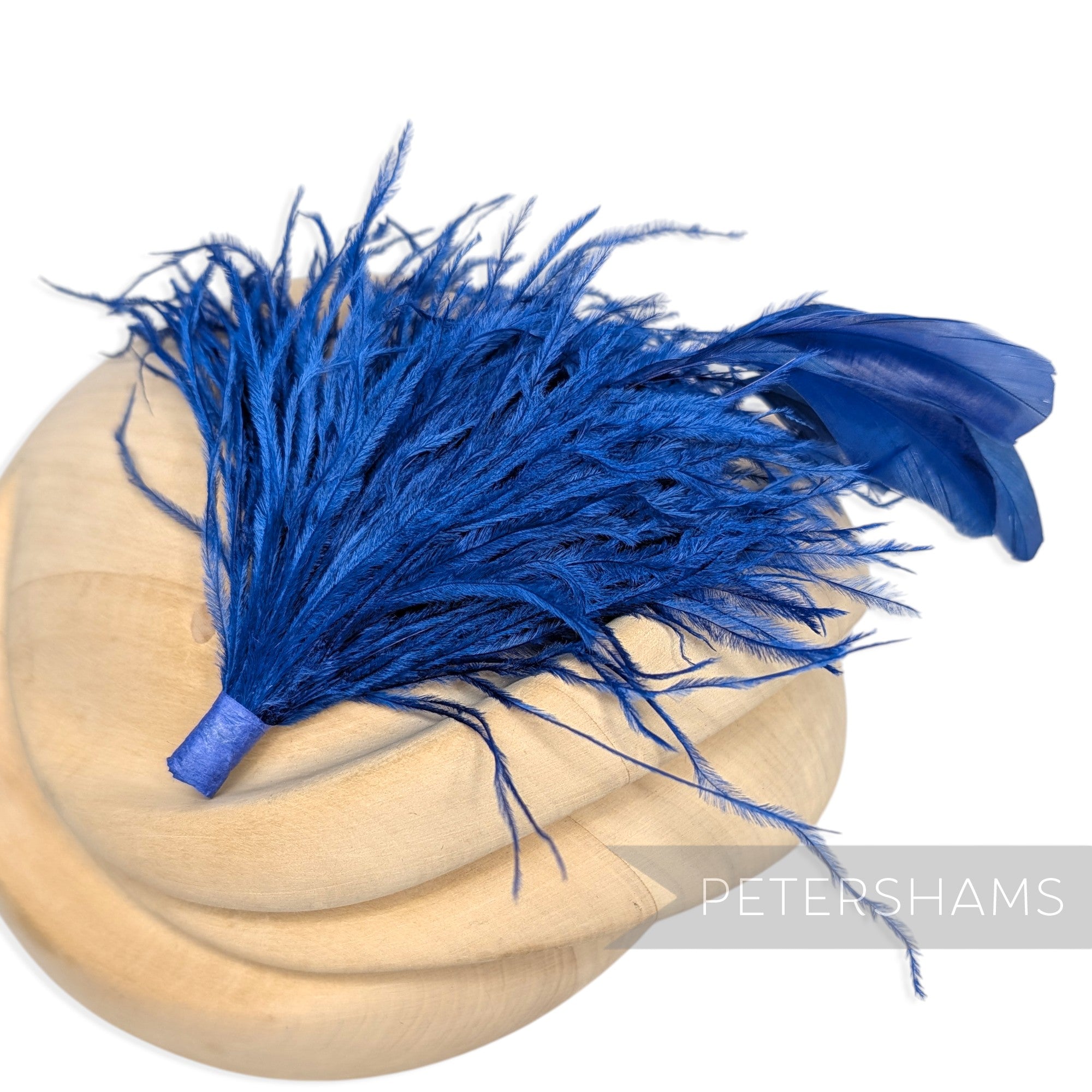 Ostrich & Stripped Coque Feather Mount