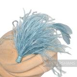 Ostrich & Stripped Coque Feather Mount