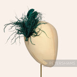 Ostrich & Stripped Coque Feather Mount