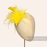 Ostrich & Stripped Coque Feather Mount