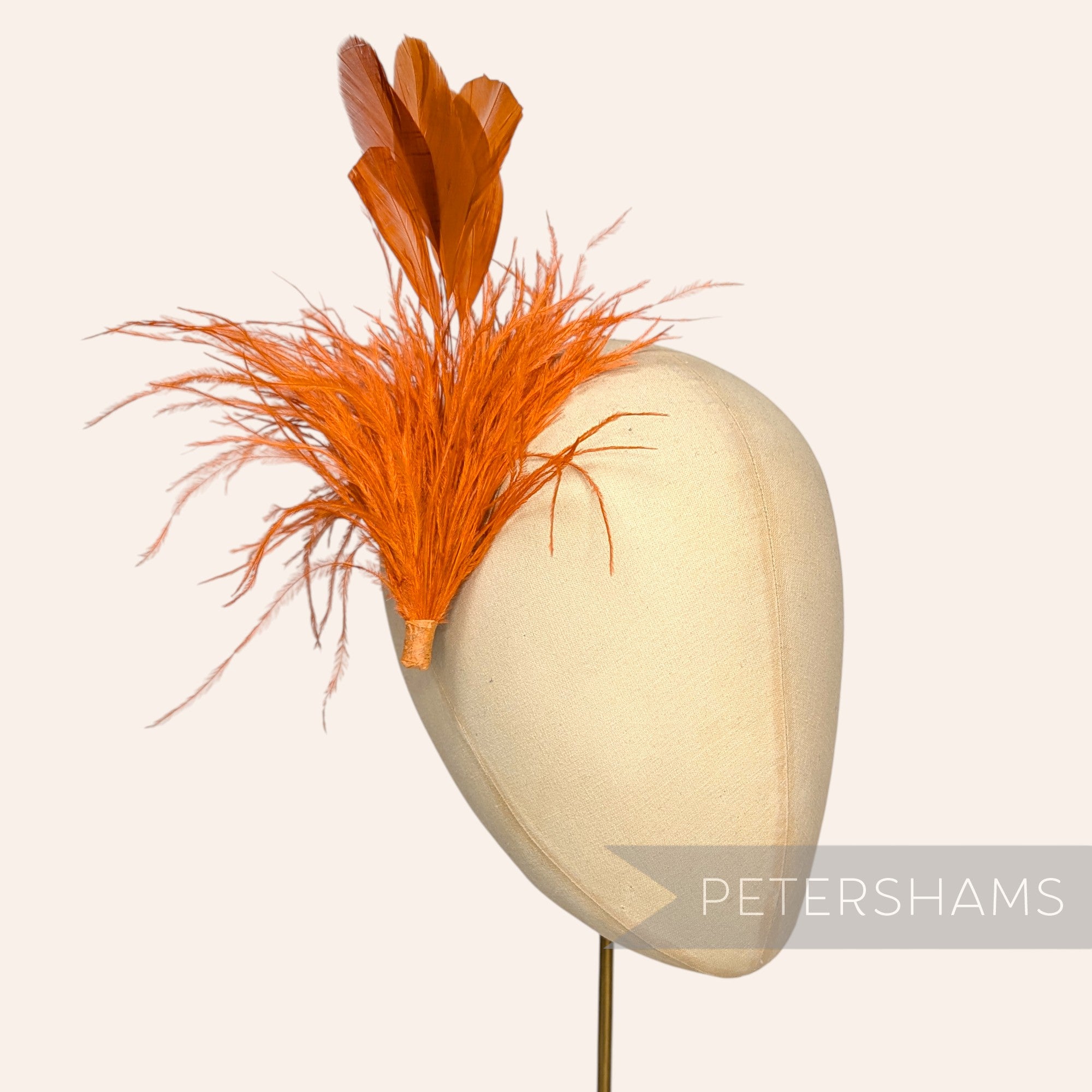 Ostrich & Stripped Coque Feather Mount