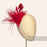 Ostrich & Stripped Coque Feather Mount