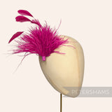 Ostrich & Stripped Coque Feather Mount