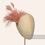 Ostrich & Stripped Coque Feather Mount