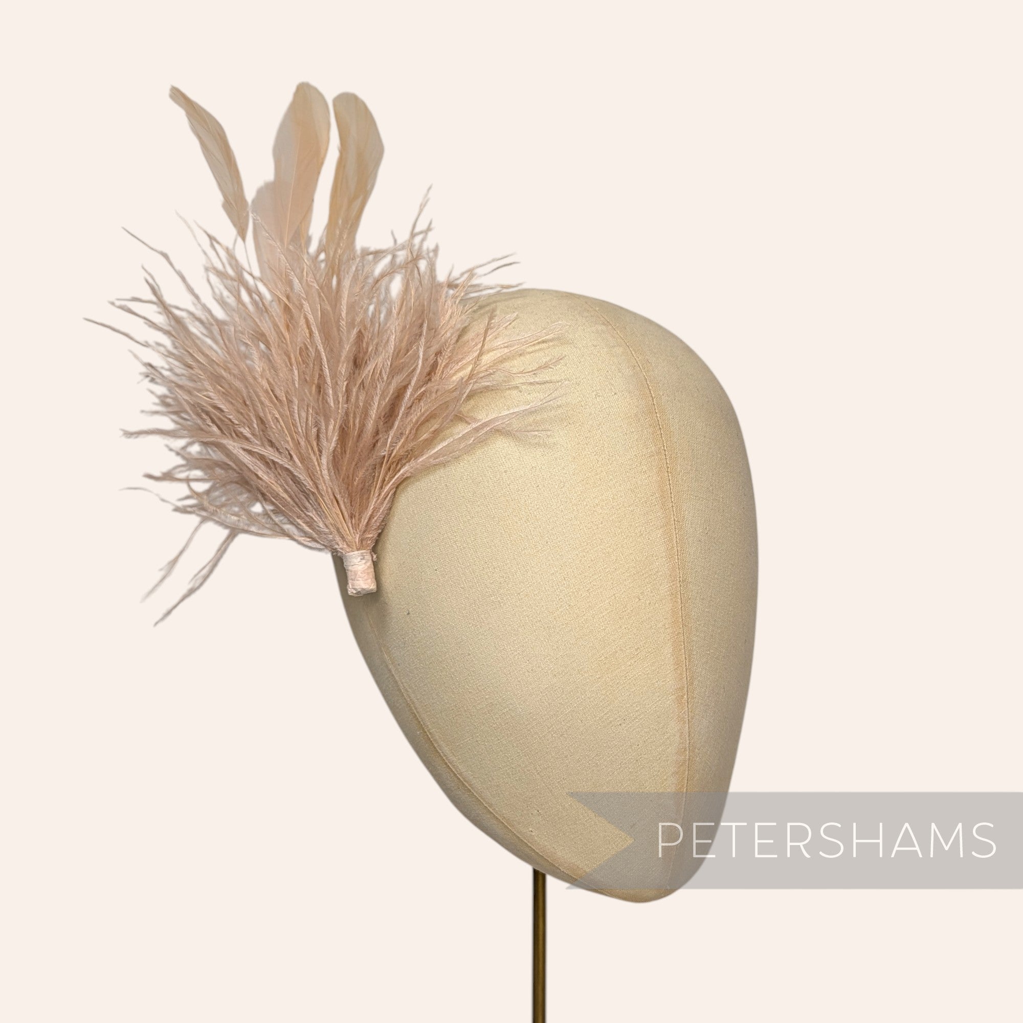 Ostrich & Stripped Coque Feather Mount