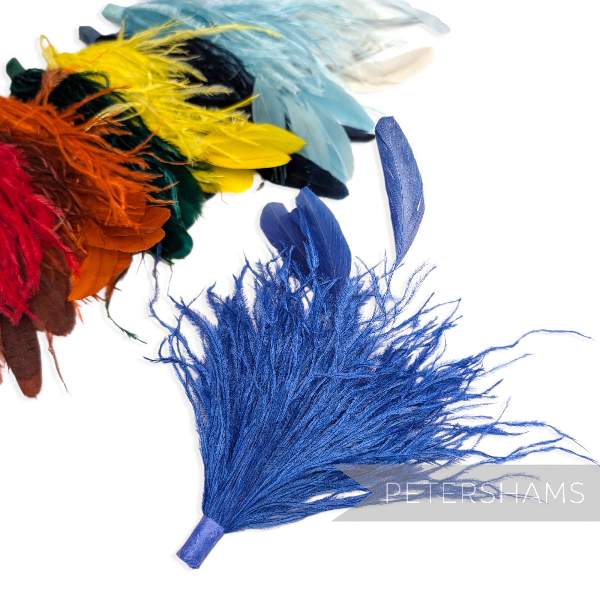 Ostrich & Stripped Coque Feather Mount