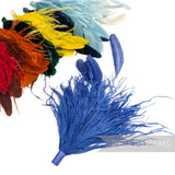 Ostrich & Stripped Coque Feather Mount