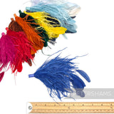Ostrich & Stripped Coque Feather Mount