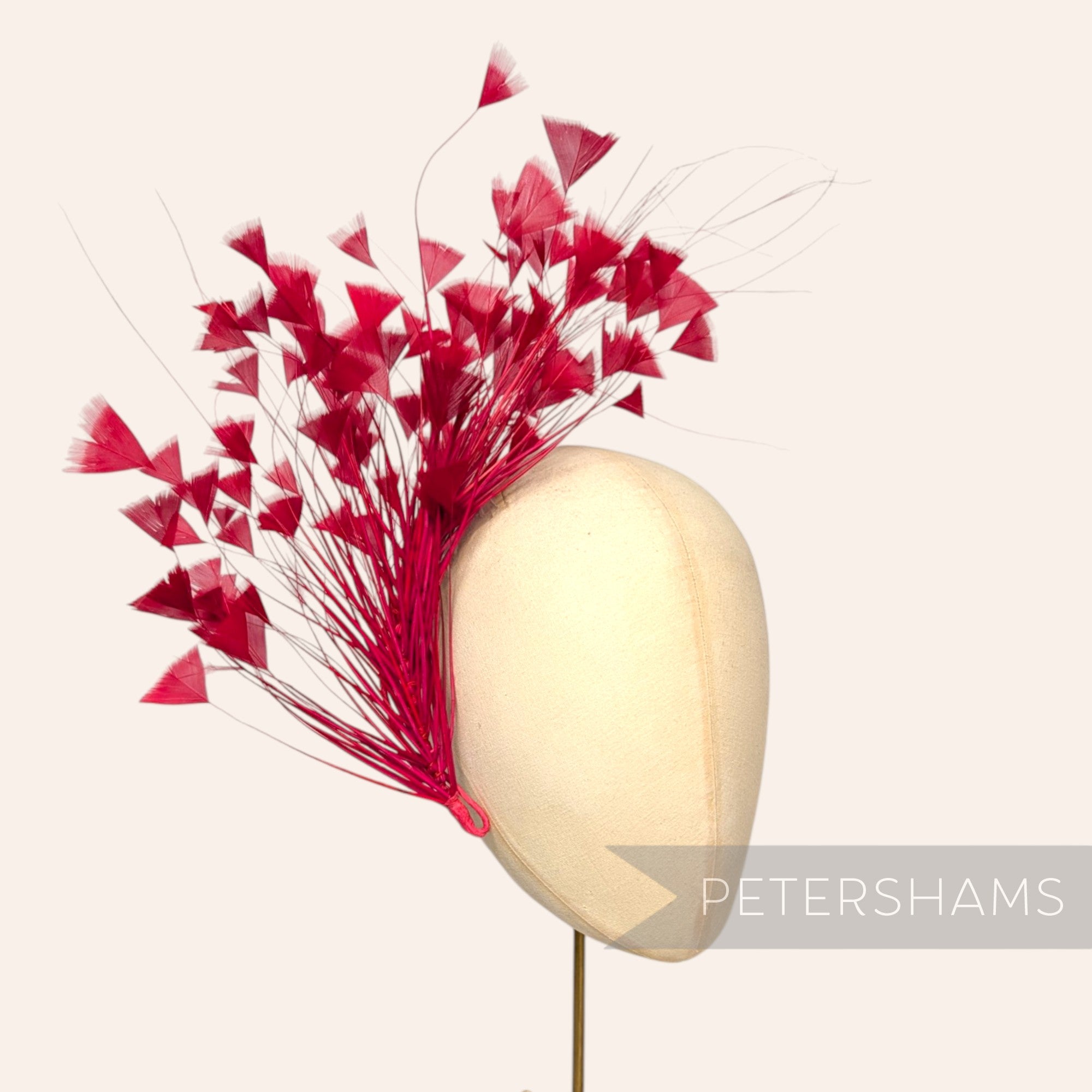 Triangle Tipped Stripped Coque & Burnt Peacock Feather Mount