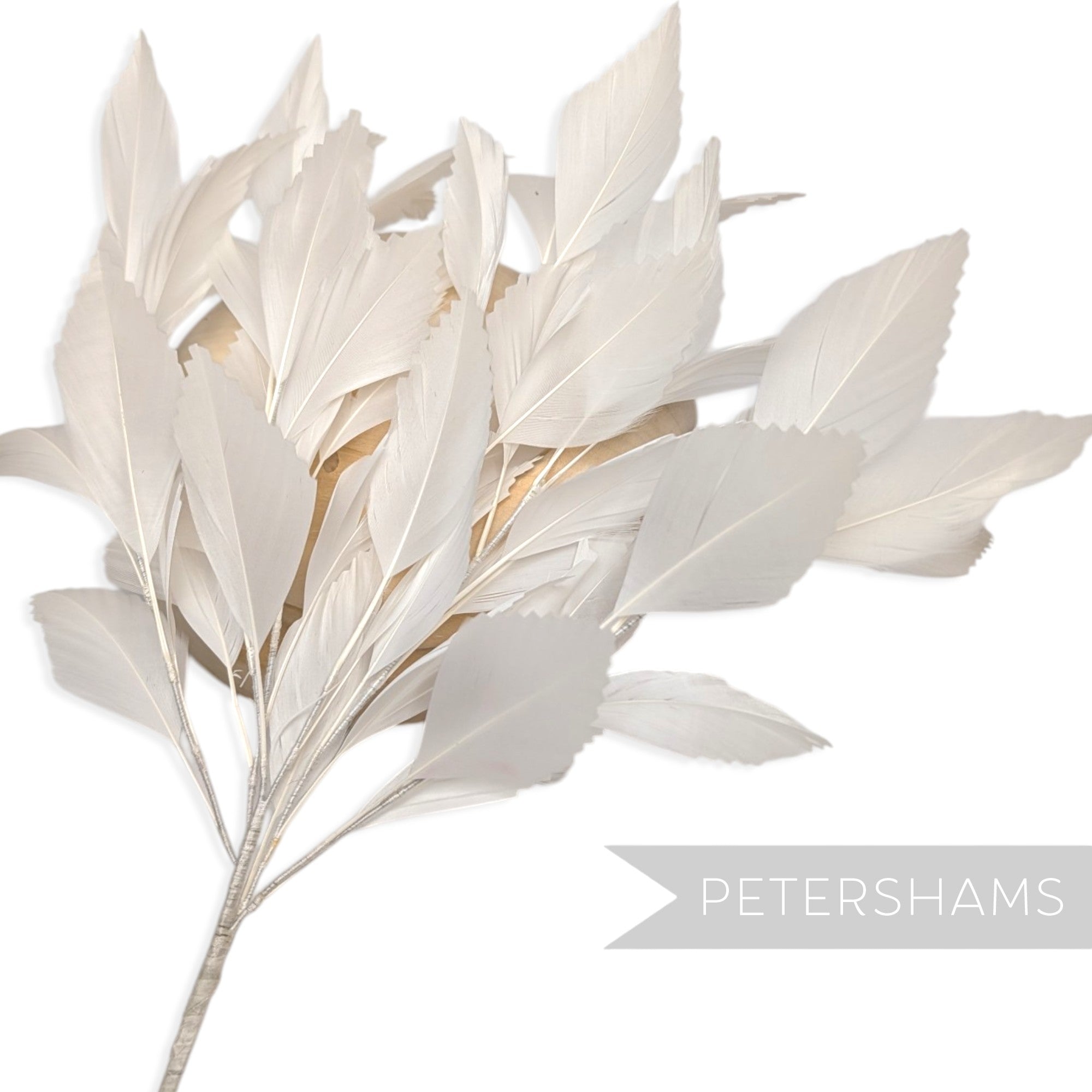 *One-off* Extra Large Ivory Zig Zag Goose Feather Mount