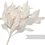 *One-off* Extra Large Ivory Zig Zag Goose Feather Mount