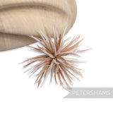 Goose Biot Feather Pom Hat Mount
