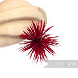 Goose Biot Feather Pom Hat Mount