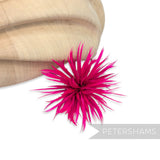 Goose Biot Feather Pom Hat Mount