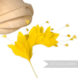 Stripped Diamond Coque & Goose Feather Wired Hat Mount