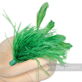 Ostrich & Stripped Coque Feather Mount